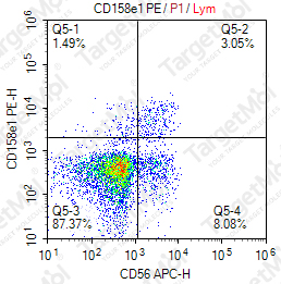 Anti-CD158e1 Antibody-PE (DX9)