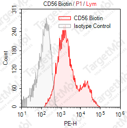 Anti-CD56 Antibody-Biotin (MEM188)