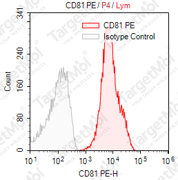 Anti-CD81 Antibody-PE (1.3.3.22)