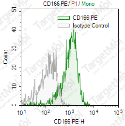 Anti-CD166 Antibody-PE (3A6)