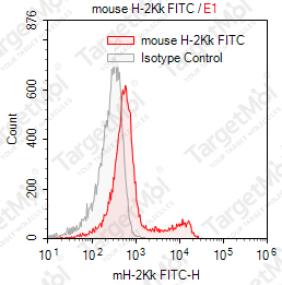 Anti-H-2Kk Antibody-FITC (36-7-5)