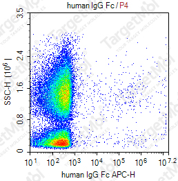 Anti-IgG Fc Antibody-APC (H-2)