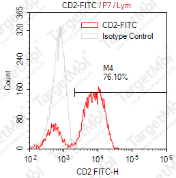 Anti-CD2 Antibody-FITC (OKT11)