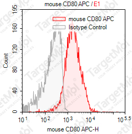 Anti-CD80 Antibody-APC (1G10)