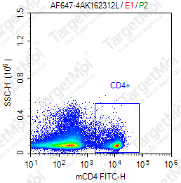 Anti-FOXP3 Antibody-APC (SB168a)