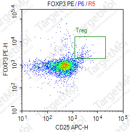Anti-FOXP3 Antibody-PE (SB151b)