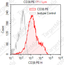 Anti-CD38 Antibody-PE (HIT2)