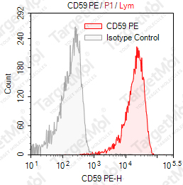 Anti-CD59 Antibody-PE (59-7G11)