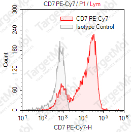 Anti-CD7 Antibody-PE-Cy7 (T3-3A1)