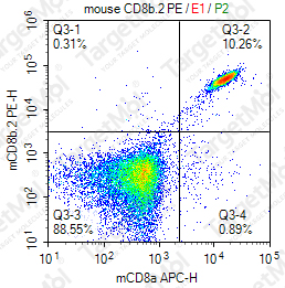 Anti-CD8b.2 Antibody-PE (53-5.8)