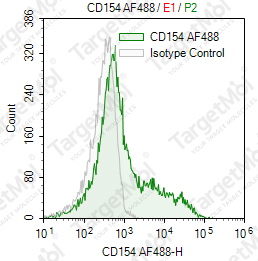 Anti-CD154 Antibody-AF488 (M91)
