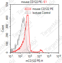 Anti-CD122 Antibody-PE (TM-b1)