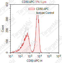 Anti-CD50 Antibody-APC (186-2G9)