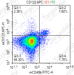 Anti-CD122 Antibody-APC (TM-b1)