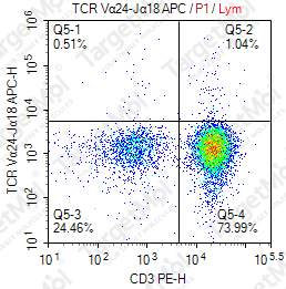 Anti-TCR Vα24-Jα18 (iNKT cell) Antibody-APC (6B11)