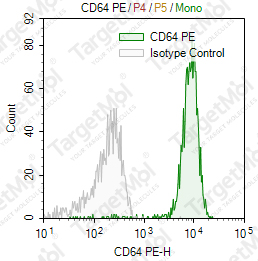 Anti-CD64 Antibody-PE (10.1)