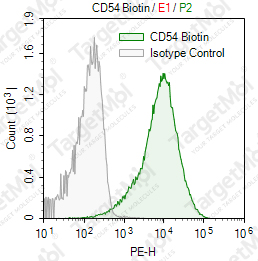 Anti-CD54 Antibody-Biotin (YN1/1.7.4)