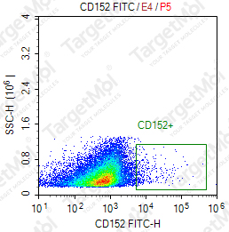 Anti-CD152 Antibody-FITC (A36B10)