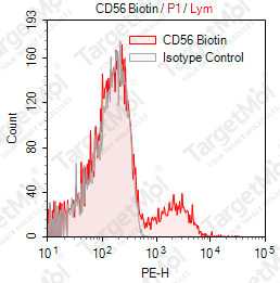 Anti-CD56 Antibody-Biotin (NCAM16.2)
