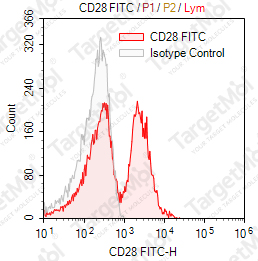 Anti-CD28 Antibody-FITC (CD28.2)