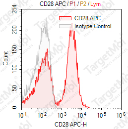 Anti-CD28 Antibody-APC (CD28.2)