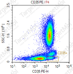 Anti-CD35 Antibody-PE (E11)