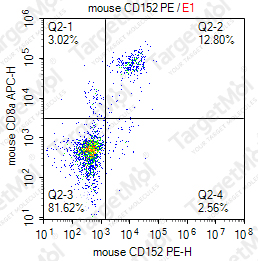 Anti-CD152 Antibody-PE (1B8)