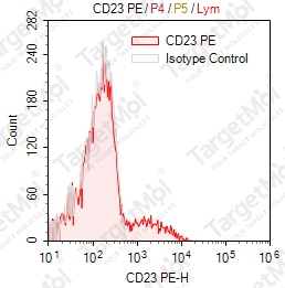 Anti-CD23 Antibody-PE (EBVCS-5)