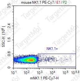 Anti-NK1.1 Antibody-PE-Cy7 (PK136)