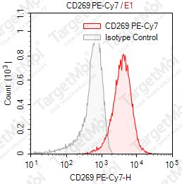 Anti-CD269 Antibody-PE-Cy7 (FMUBCmA-1)