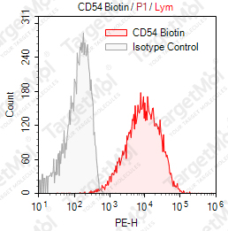Anti-CD54 Antibody-Biotin (RR11)