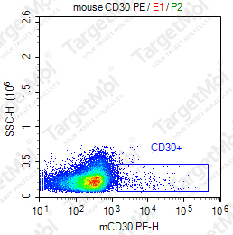 Anti-CD30 Antibody-PE (mCD30.1)