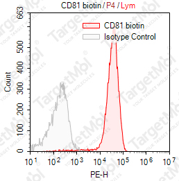 Anti-CD81 Antibody-Biotin (1.3.3.22)