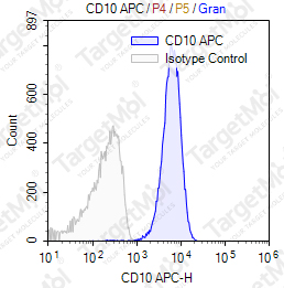 Anti-CD10 Antibody-APC (CB-CALLA)
