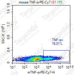 Anti-TNF-α Antibody-FITC (MP6-XT22)