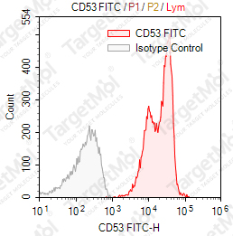 Anti-CD53 Antibody-FITC (C53-2)