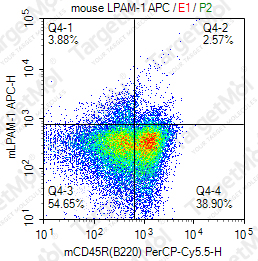 Anti-LPAM-1 Antibody-APC (DATK32)