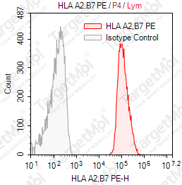 Anti-HLA A2, B7 (MHC Class I) Antibody-PE (BB7.6)