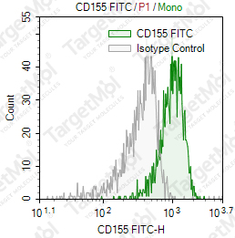 Anti-CD155 Antibody-FITC (FMU155-11)