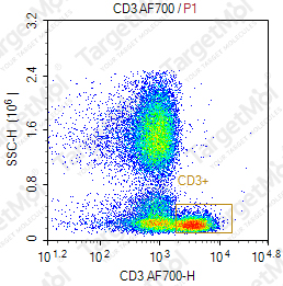 Anti-CD3 Antibody-AF700 (OKT3)