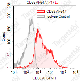 Anti-CD38 Antibody-AF647 (HIT2)
