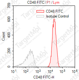 Anti-CD48 Antibody-FITC (BJ40)