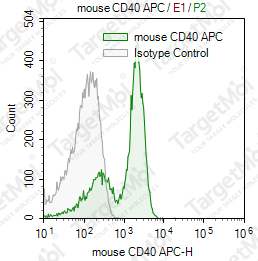 Anti-CD40 Antibody-APC (1C10)
