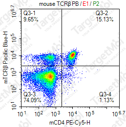 Anti-TCRβ Antibody-Pacific Blue (H57-597)