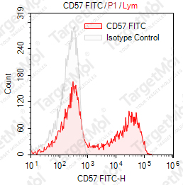 Anti-CD57 Antibody-FITC (HNK-1)