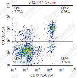 Anti-CD73 Antibody-APC (AD2)