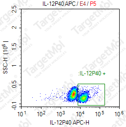 Anti-IL-12p40 Antibody-APC (ABT-874)