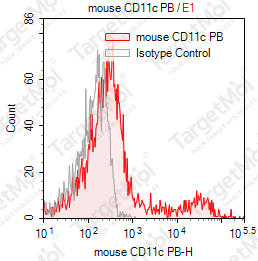 Anti-CD11c Antibody-Pacific Blue (N418)