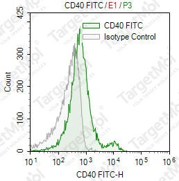 Anti-CD40 Antibody-FITC (1C10)