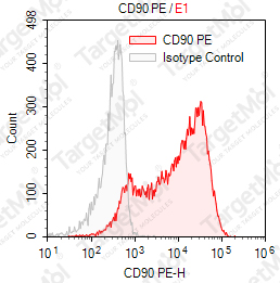 Anti-CD90 Antibody-PE (5E10)